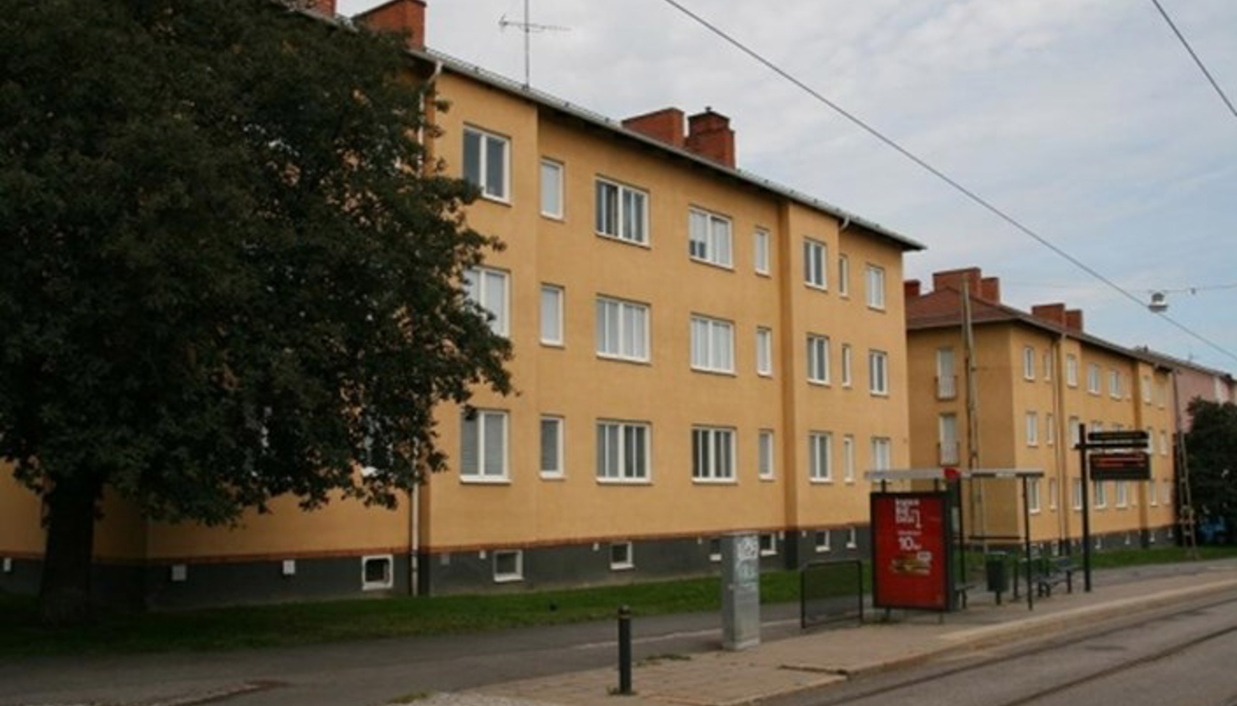 flaederbusken.jpg